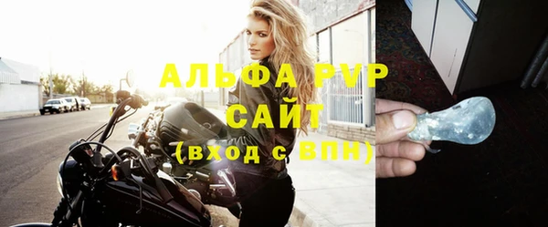 индика Абаза