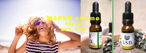 индика Абаза
