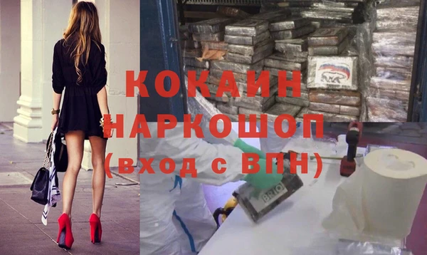 индика Абаза