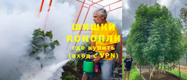 индика Абаза