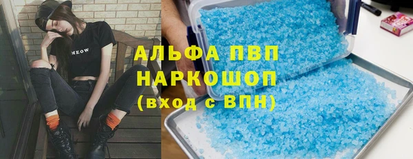индика Абаза