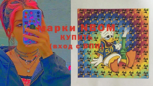 индика Абаза