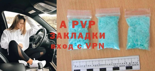 индика Абаза