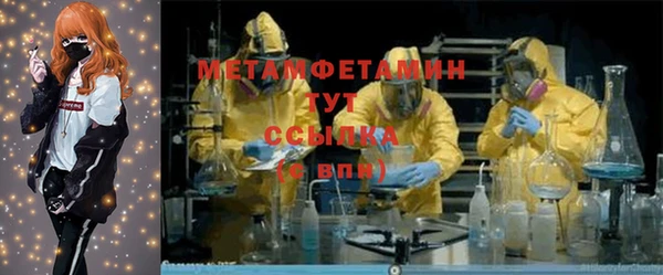 индика Абаза