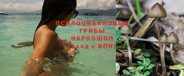 тгк Абдулино
