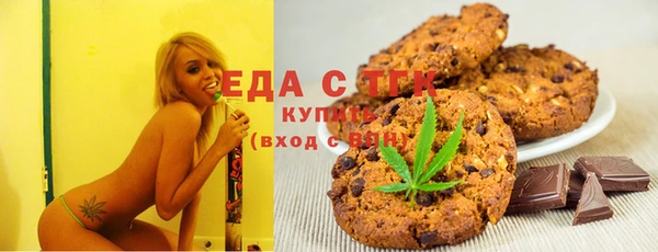 индика Абаза