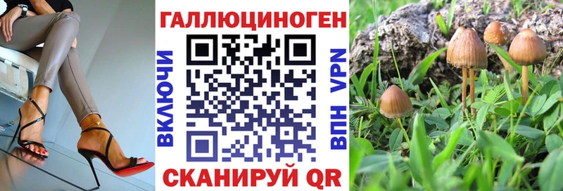 Галлюциногенные грибы ЛСД  Новомичуринск 